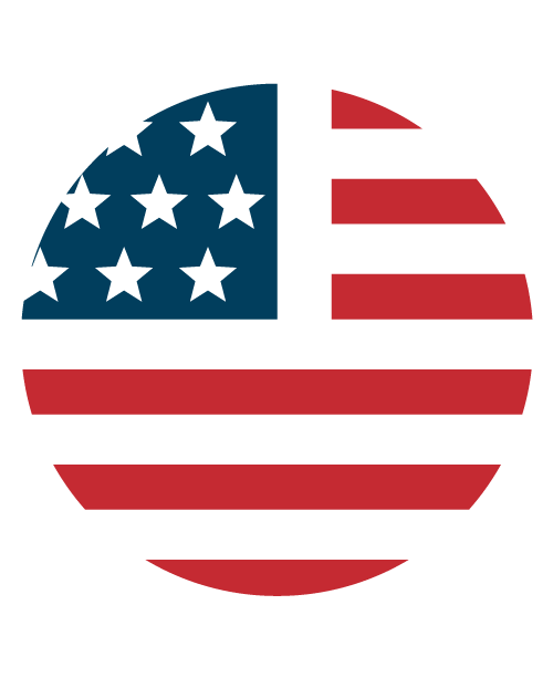 USA Graphic Icon